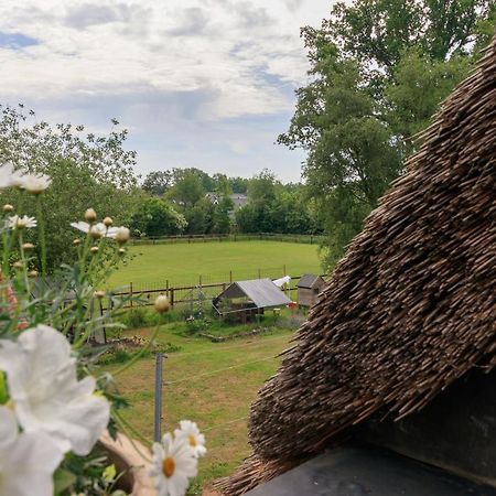 Apartament Het Grote Paard Havelte Zewnętrze zdjęcie
