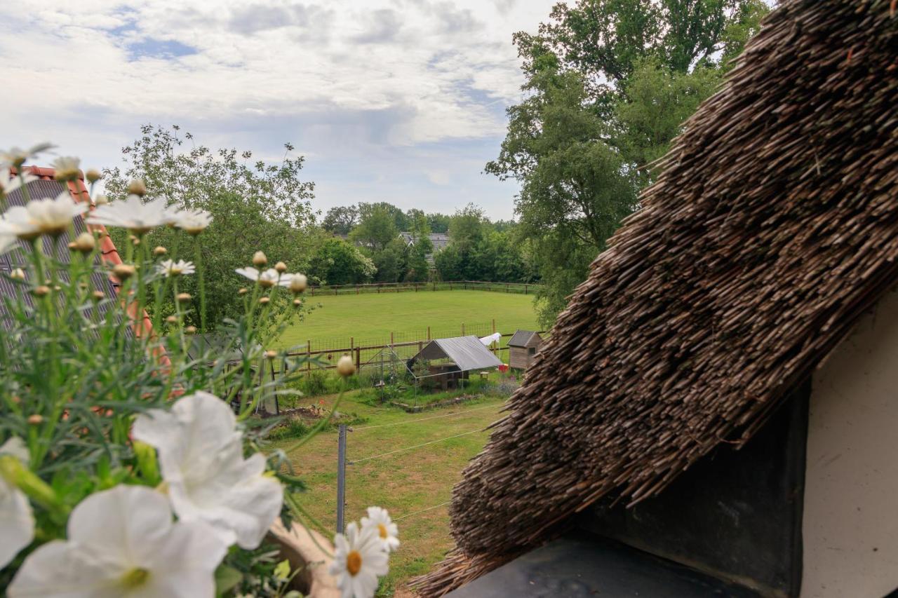 Apartament Het Grote Paard Havelte Zewnętrze zdjęcie