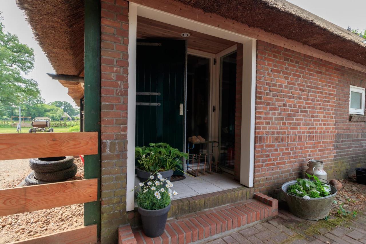 Apartament Het Grote Paard Havelte Zewnętrze zdjęcie