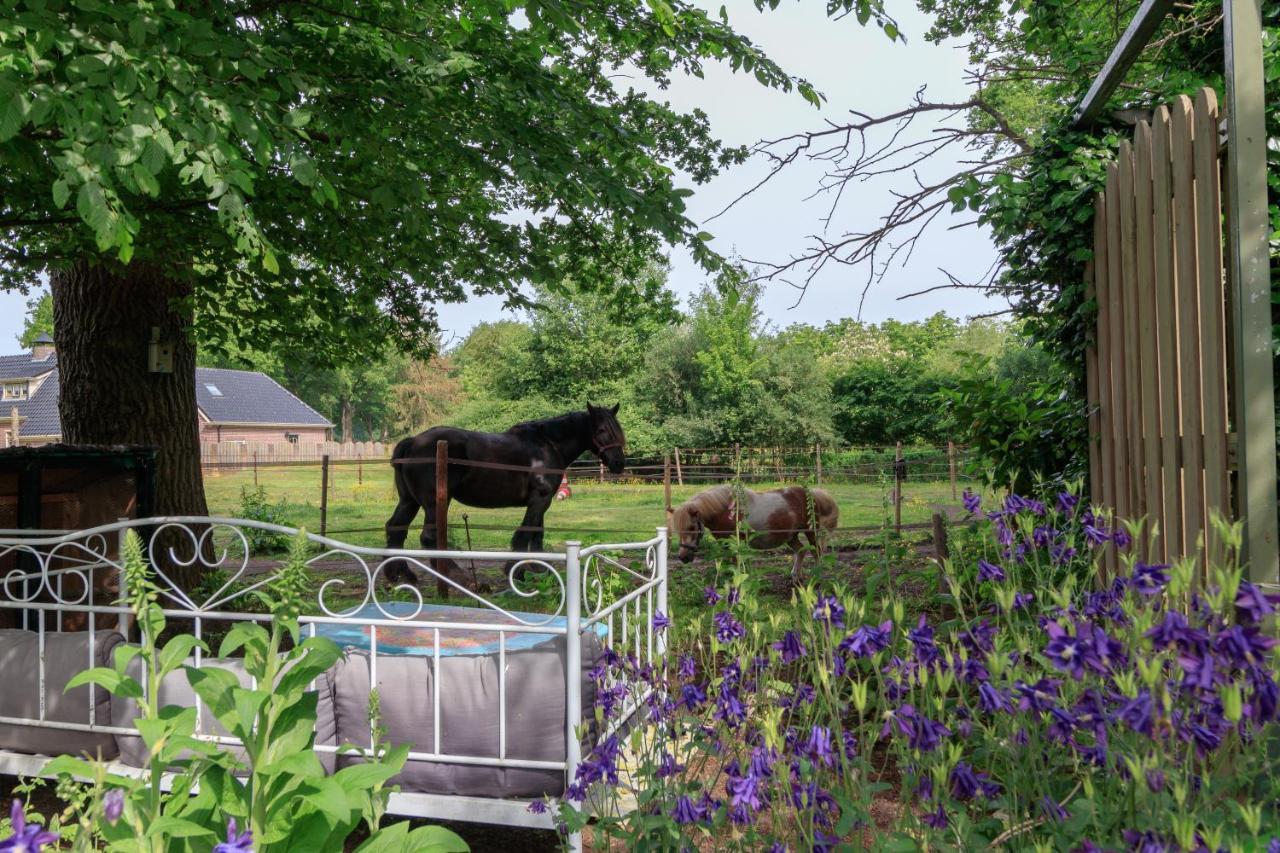 Apartament Het Grote Paard Havelte Zewnętrze zdjęcie