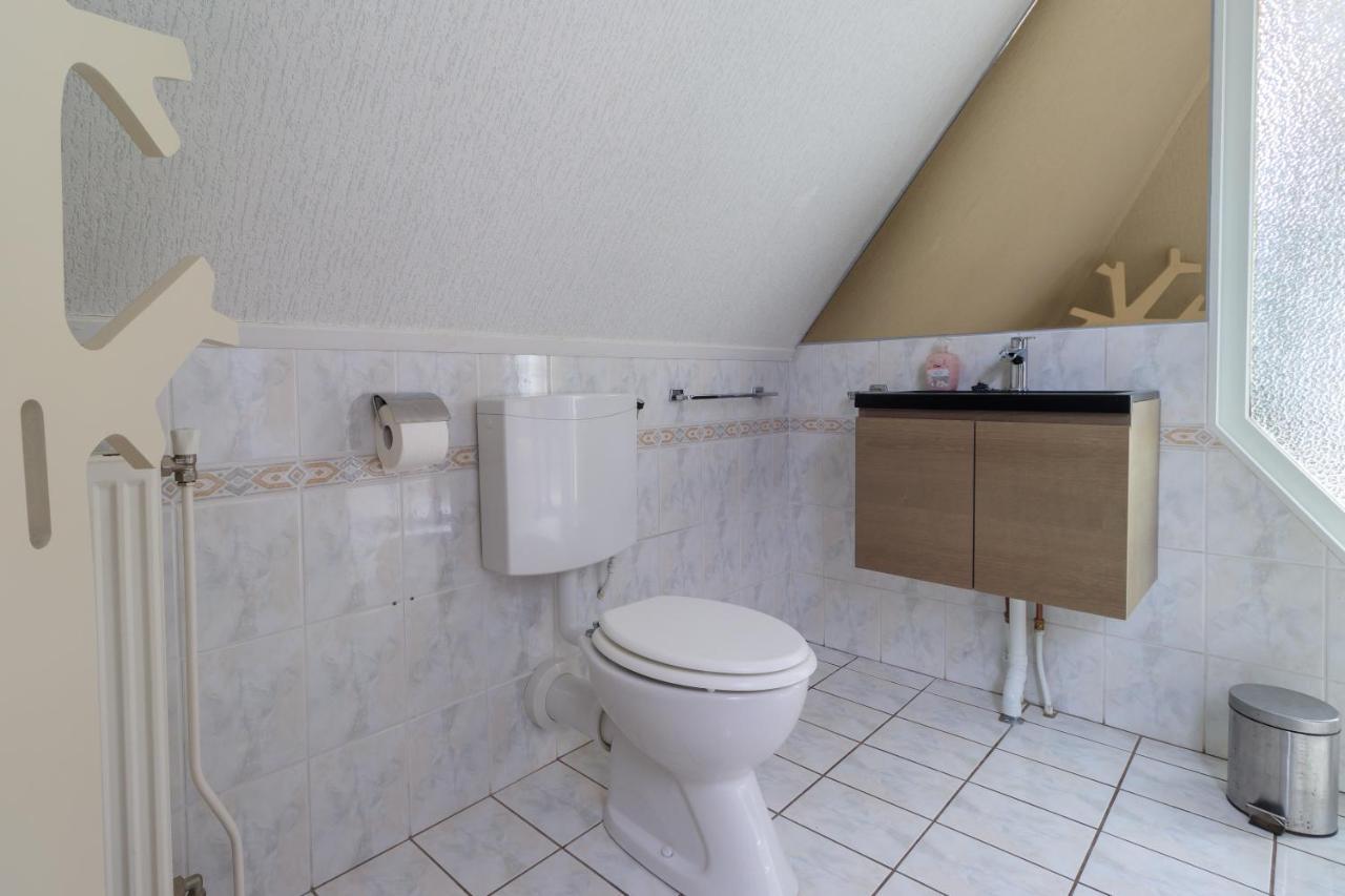Apartament Het Grote Paard Havelte Zewnętrze zdjęcie
