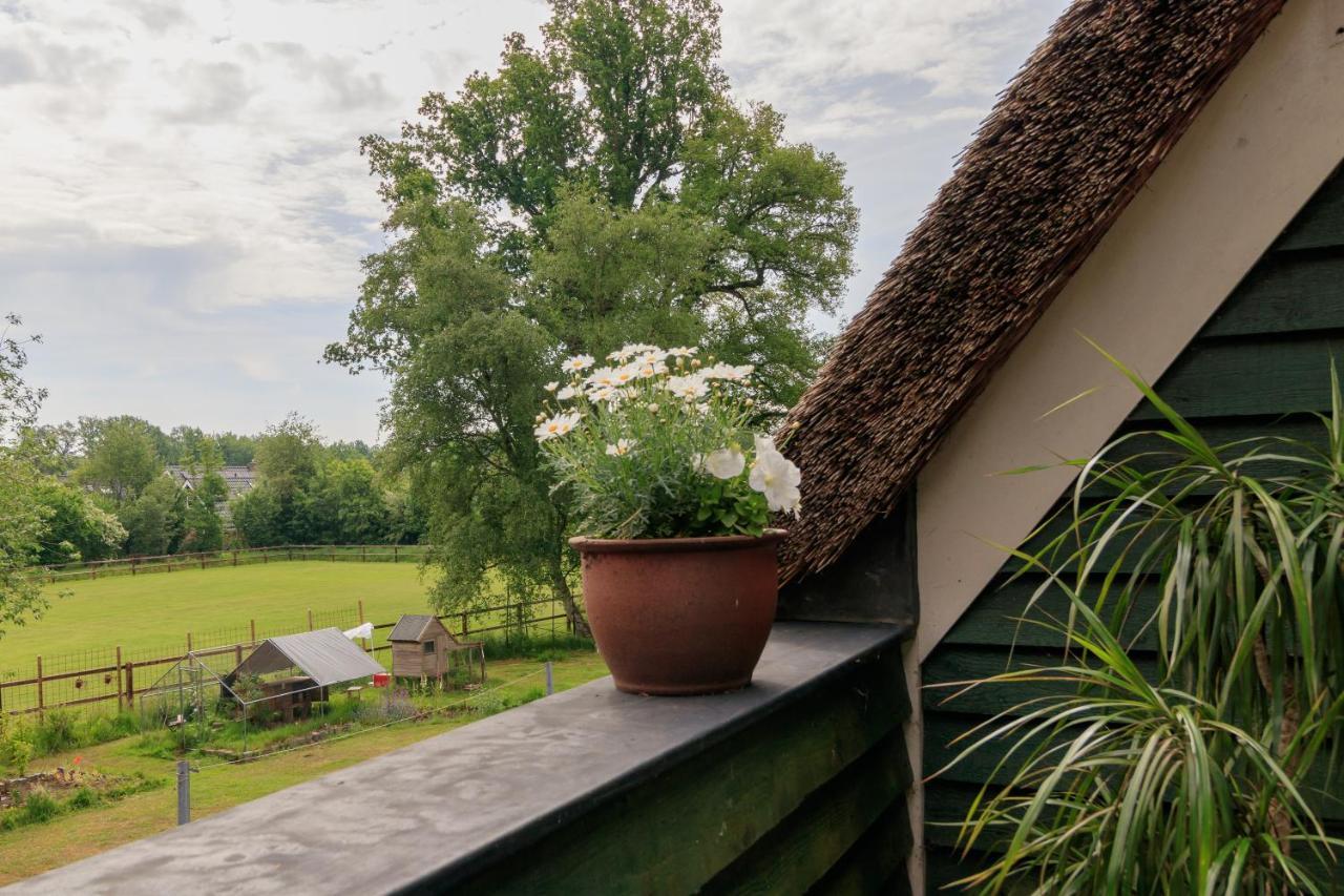 Apartament Het Grote Paard Havelte Zewnętrze zdjęcie