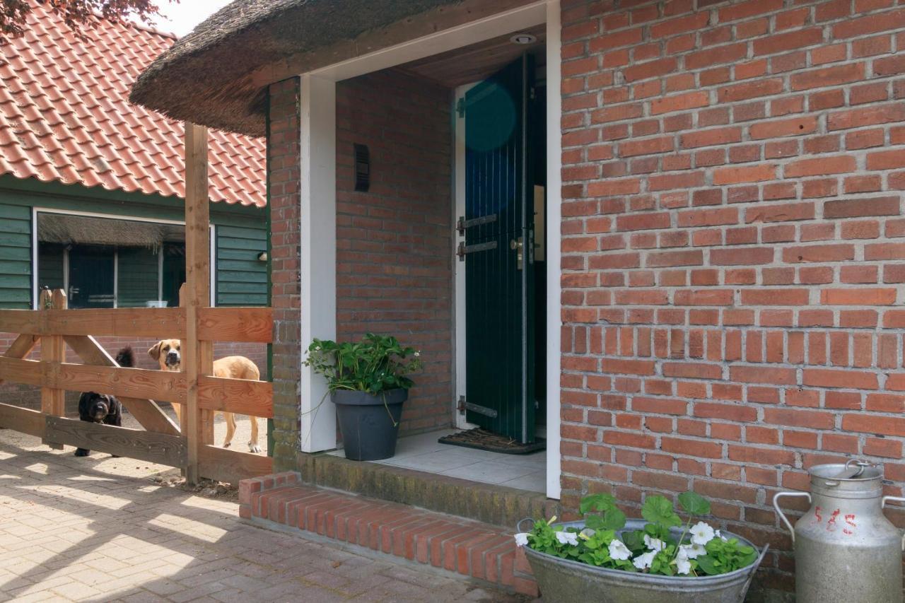 Apartament Het Grote Paard Havelte Zewnętrze zdjęcie